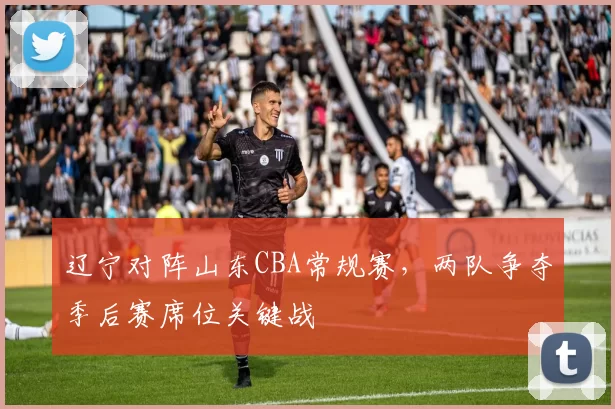 辽宁对阵山东CBA常规赛，两队争夺季后赛席位关键战