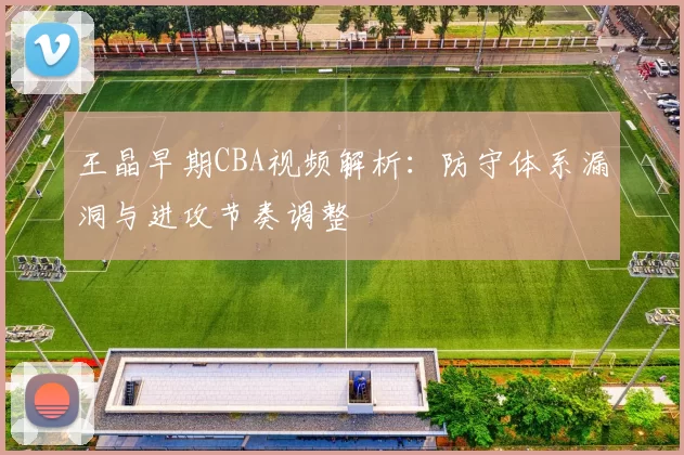 王晶早期CBA视频解析：防守体系漏洞与进攻节奏调整